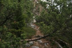 2011-04-24_Regina-F-Rau_Brunnstein-Spitze (057).JPG